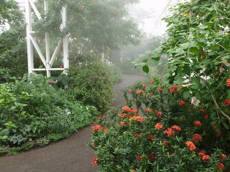 Path Through Misty Garden