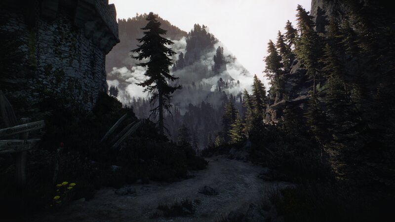 Path Through Mountain Forest