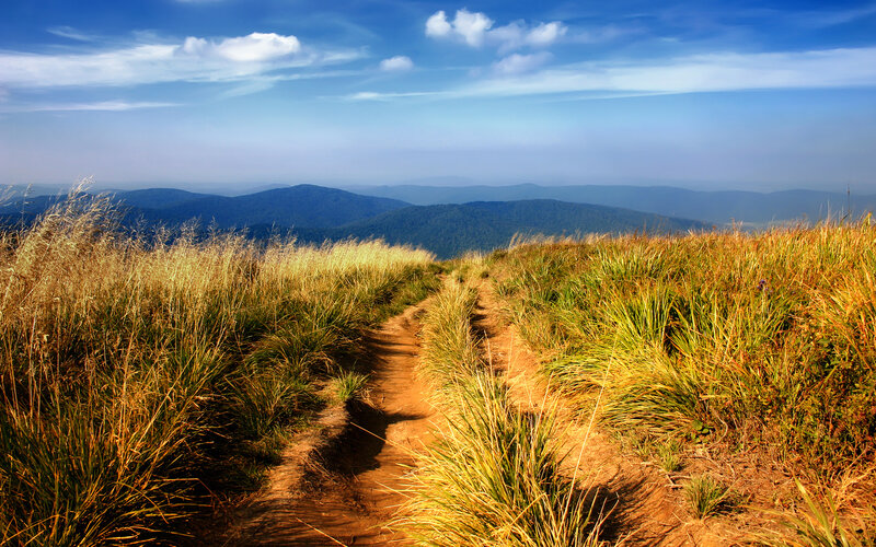 Path through mountain grasslands