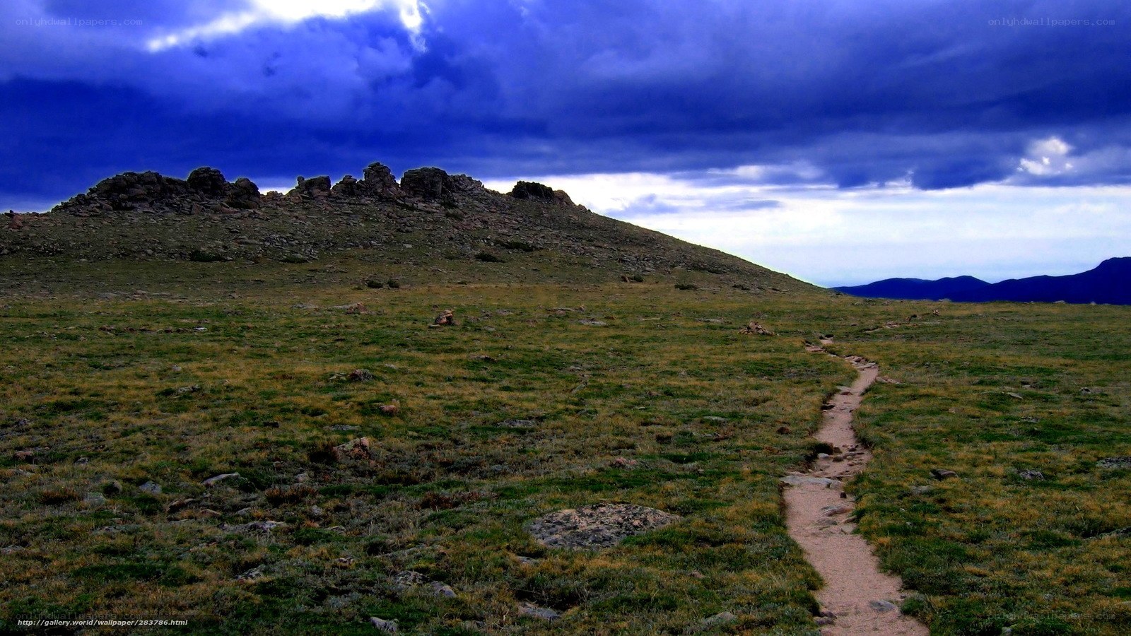 Path through mountain meadow