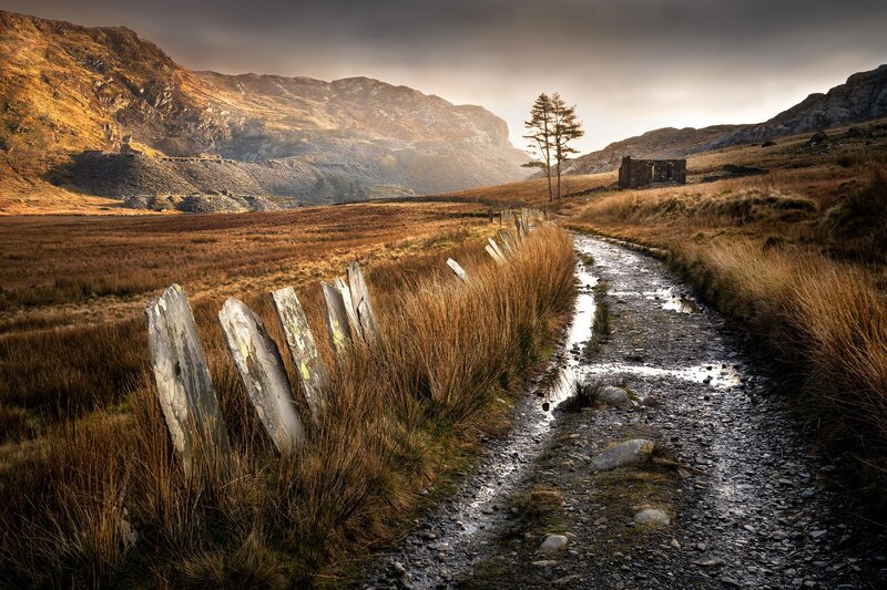 Path Through Mountain Valley — Brown