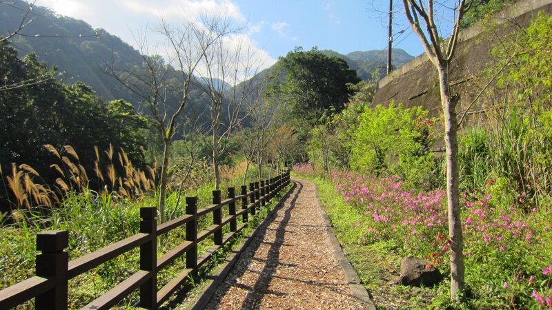 Path Through Mountain Valley — Green