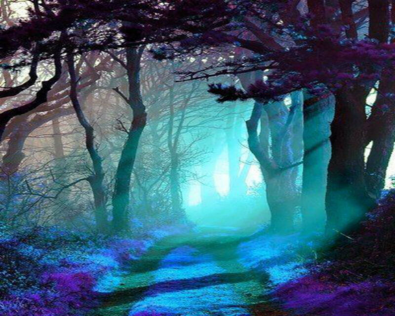 Path Through Mystical Forest — Blue