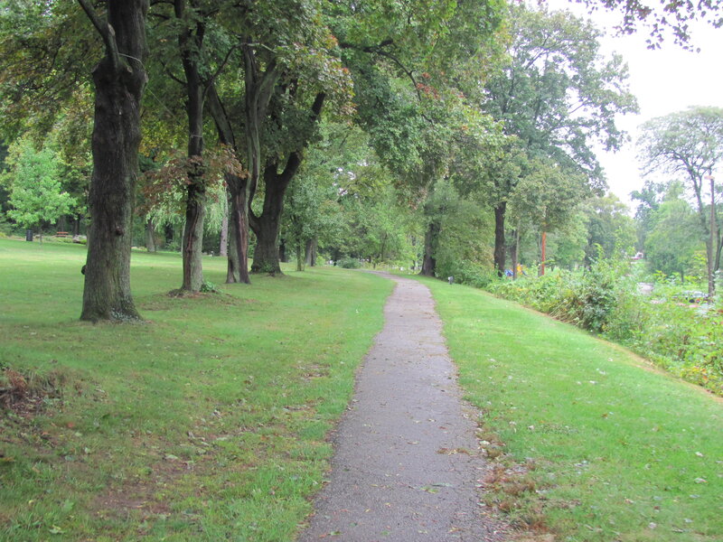 Path Through Park — Green, Calm