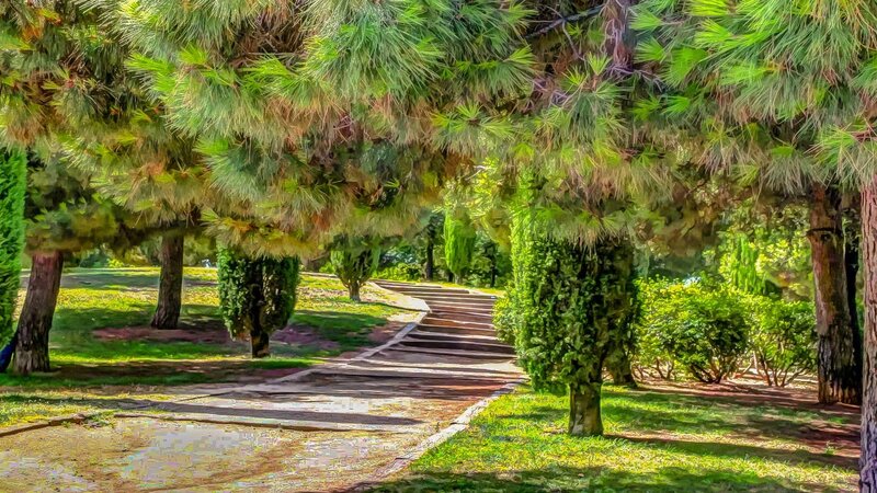 Path Through Park — Green, Serene, Afternoon, Photograph