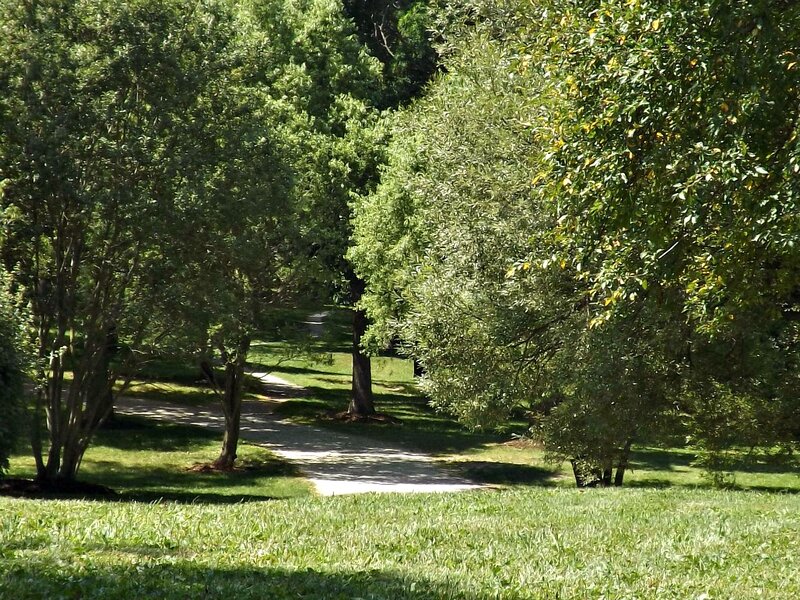 Path Through Park — Green, Serene, Afternoon