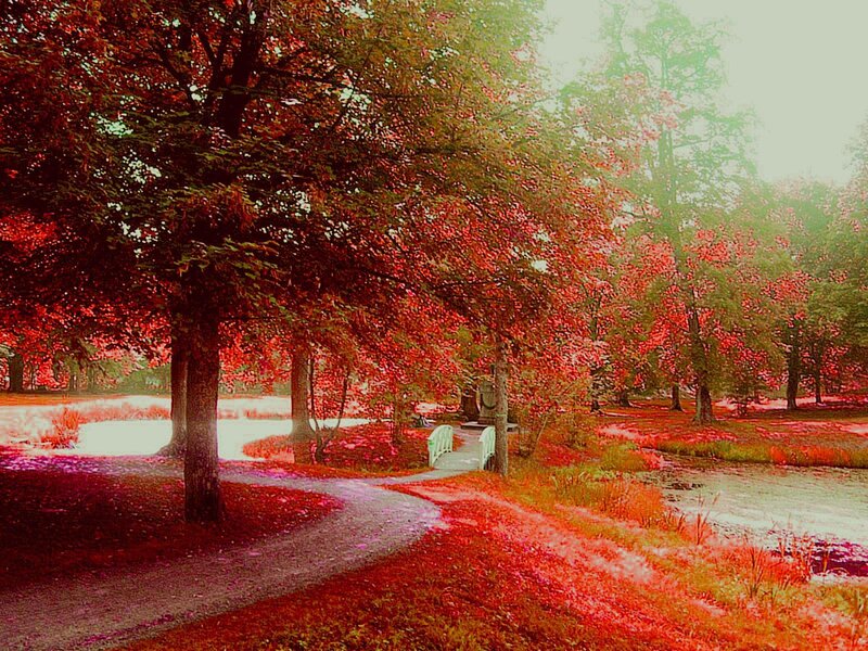 Path Through Park