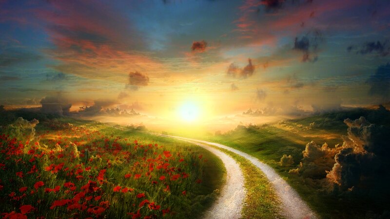 Path Through Poppy Field — Green