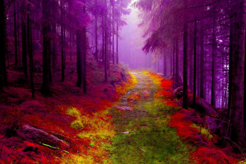 Path Through Purple Forest — Mystical, Digital Art