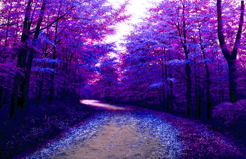 Path Through Purple Forest — Serene, Digital Art