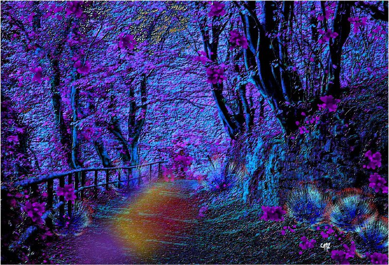Path Through Purple Trees — Dreamy