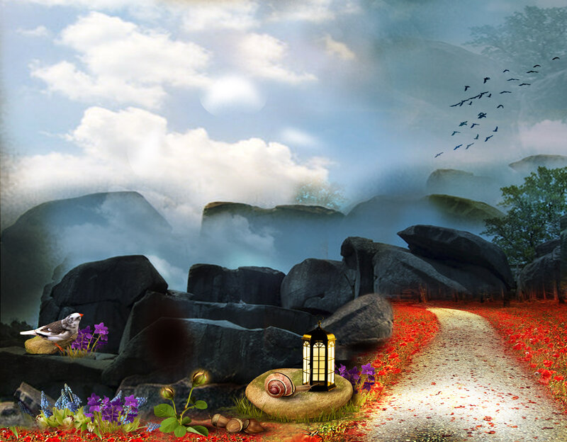 Path Through Red Flowers