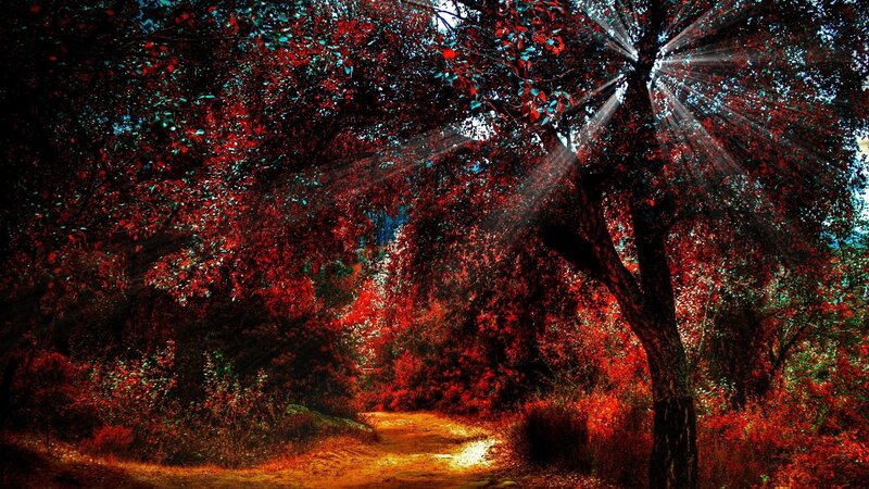 Path Through Red-leafed Trees — Red, Dramatic