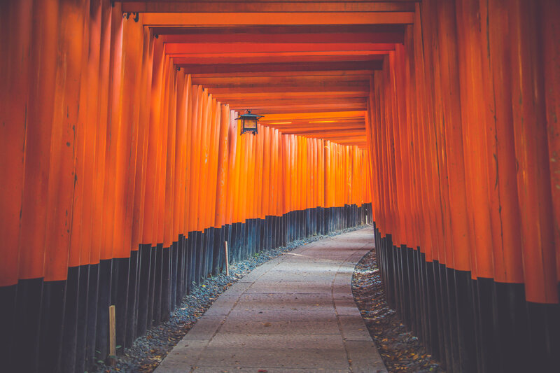 Path Through Torii Gates — Orange
