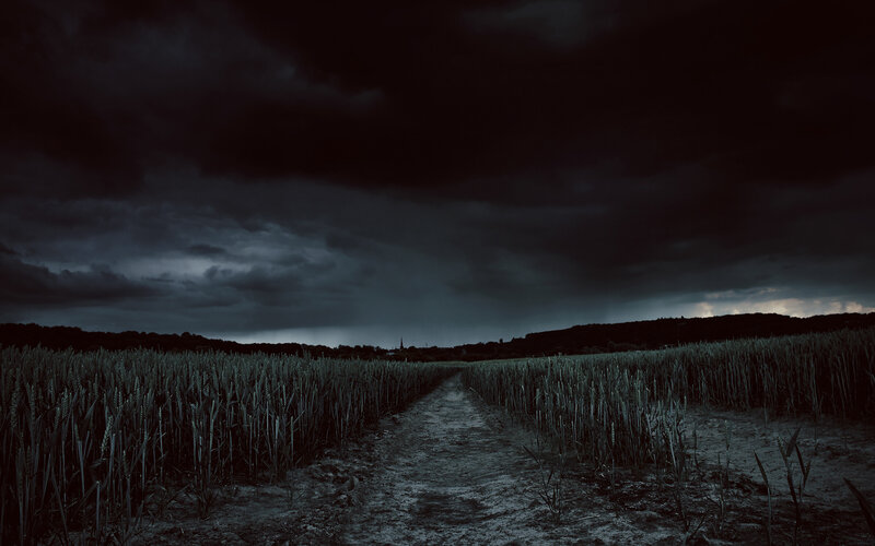 Path Through Wheat Field — Black
