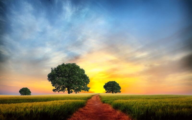 Path Through Wheat Field — Blue