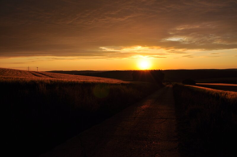 Path Through Wheat Field — Orange