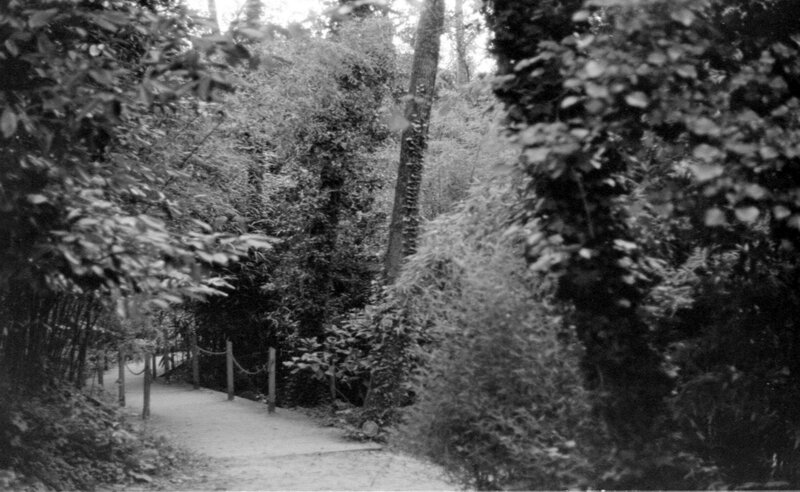 Path Through Wooded Area — Black