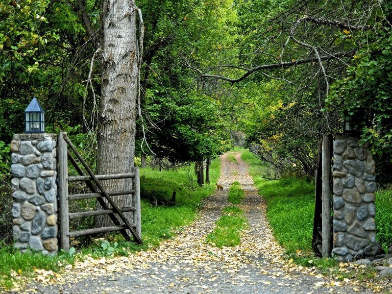 Path Through Wooded Area — Green, Serene, Autumn, Photograph, Stone Pillars, Wooden Gate
