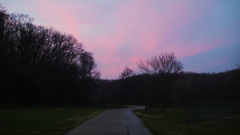 Path Through Wooded Area — Pink