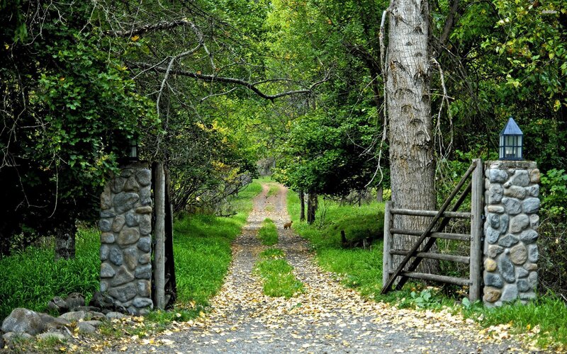 Path Through Wooded Gate — Green