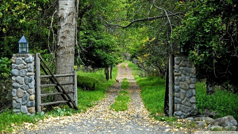 Path Through Wooded Gate