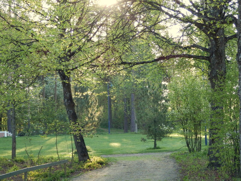 Path Through Wooded Park