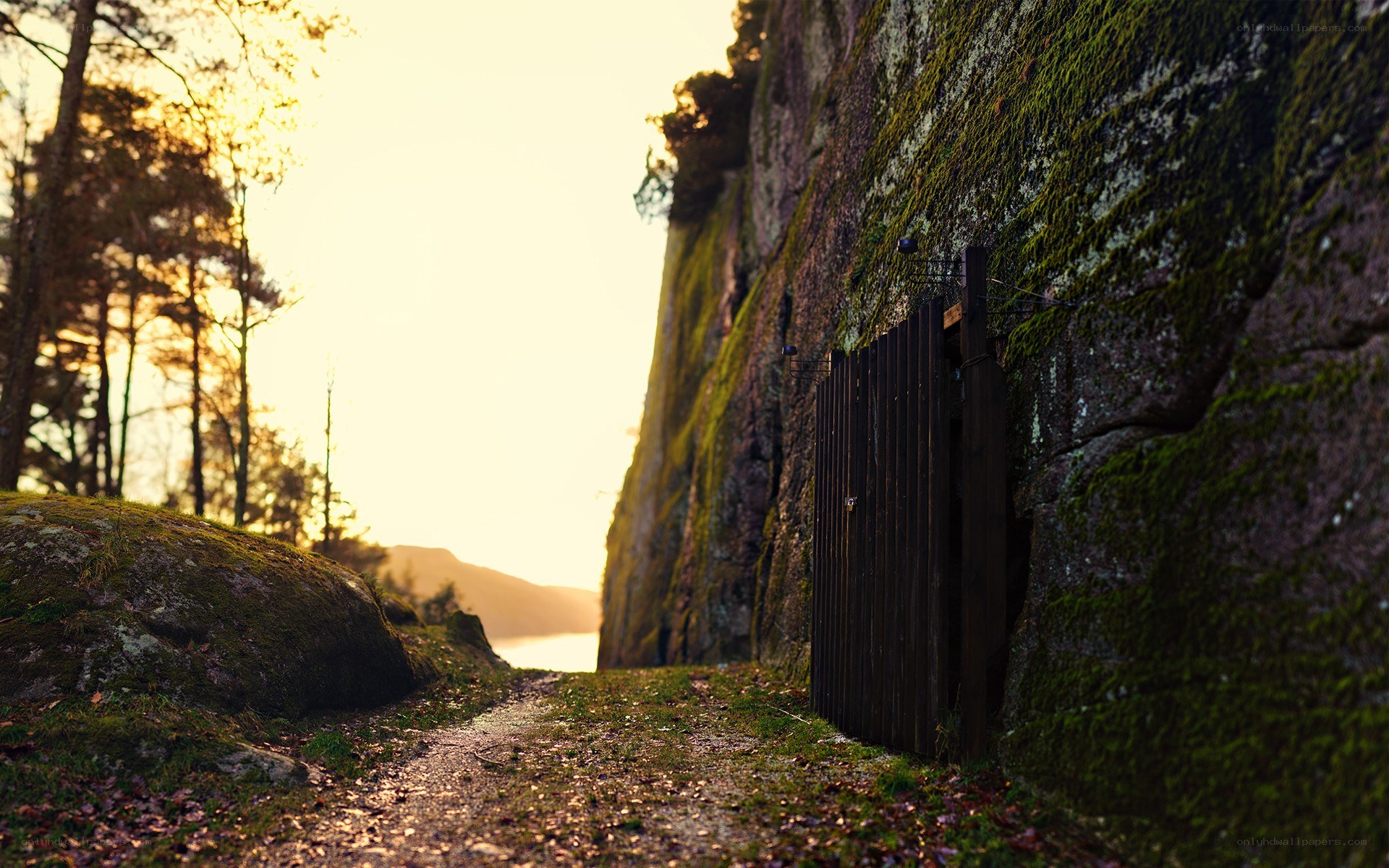 Path to a hidden cave entrance