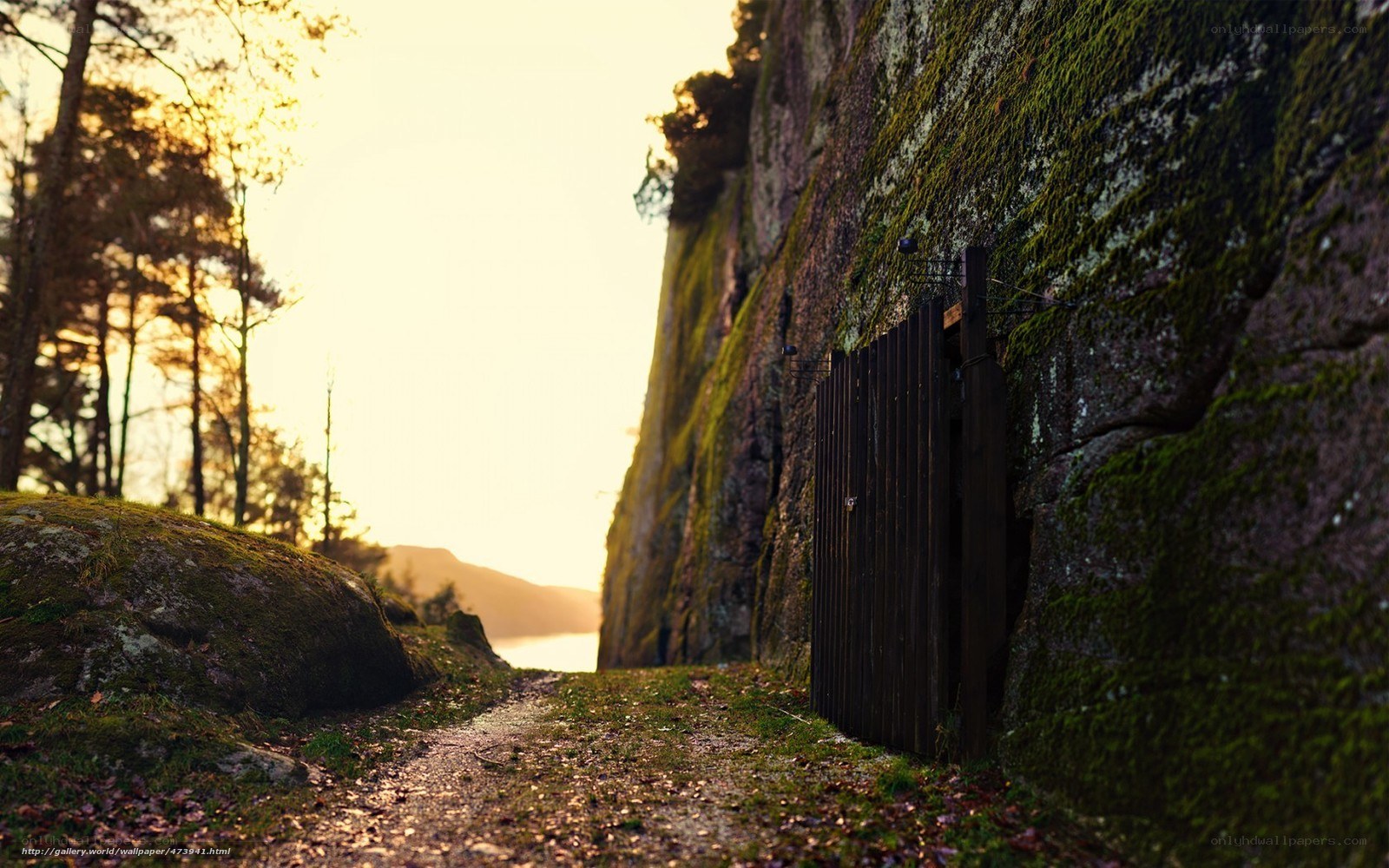 Path to a hidden gate