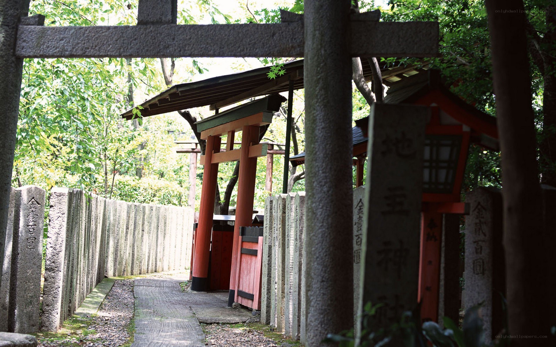 Path to a Japanese shrine