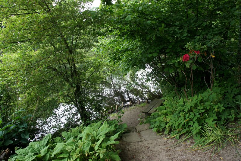 Path to a lakeside bench
