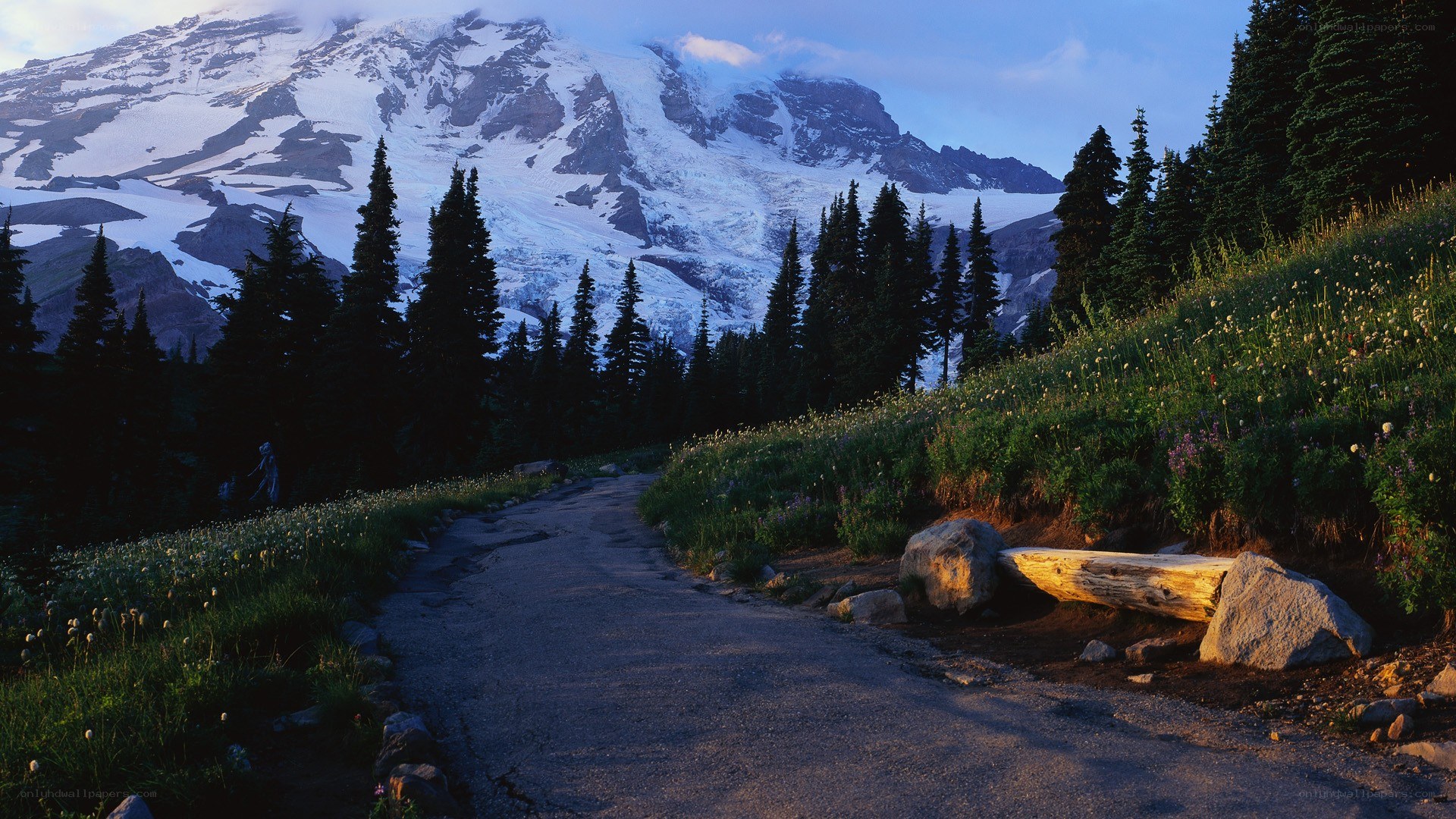 Path to a snow-capped mountain