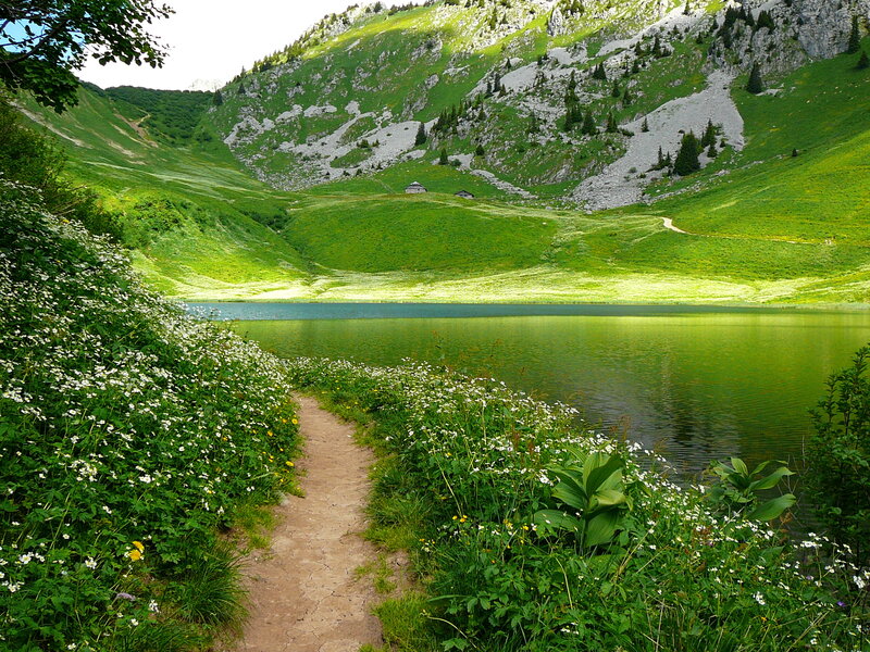 Path to Alpine Lake