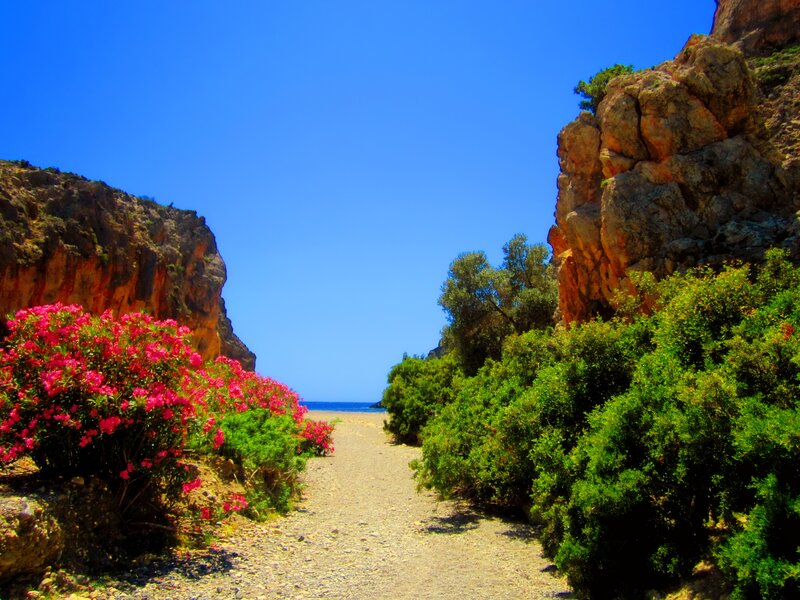 Path to Beach Between Cliffs