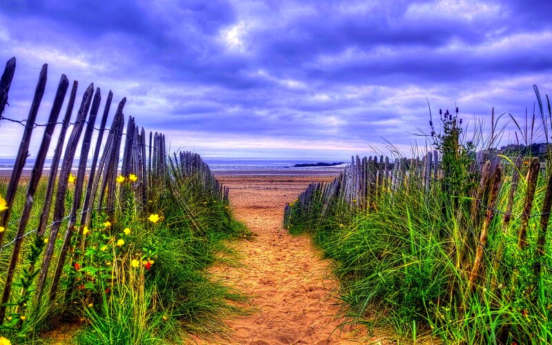 Path to Beach Through Dunes