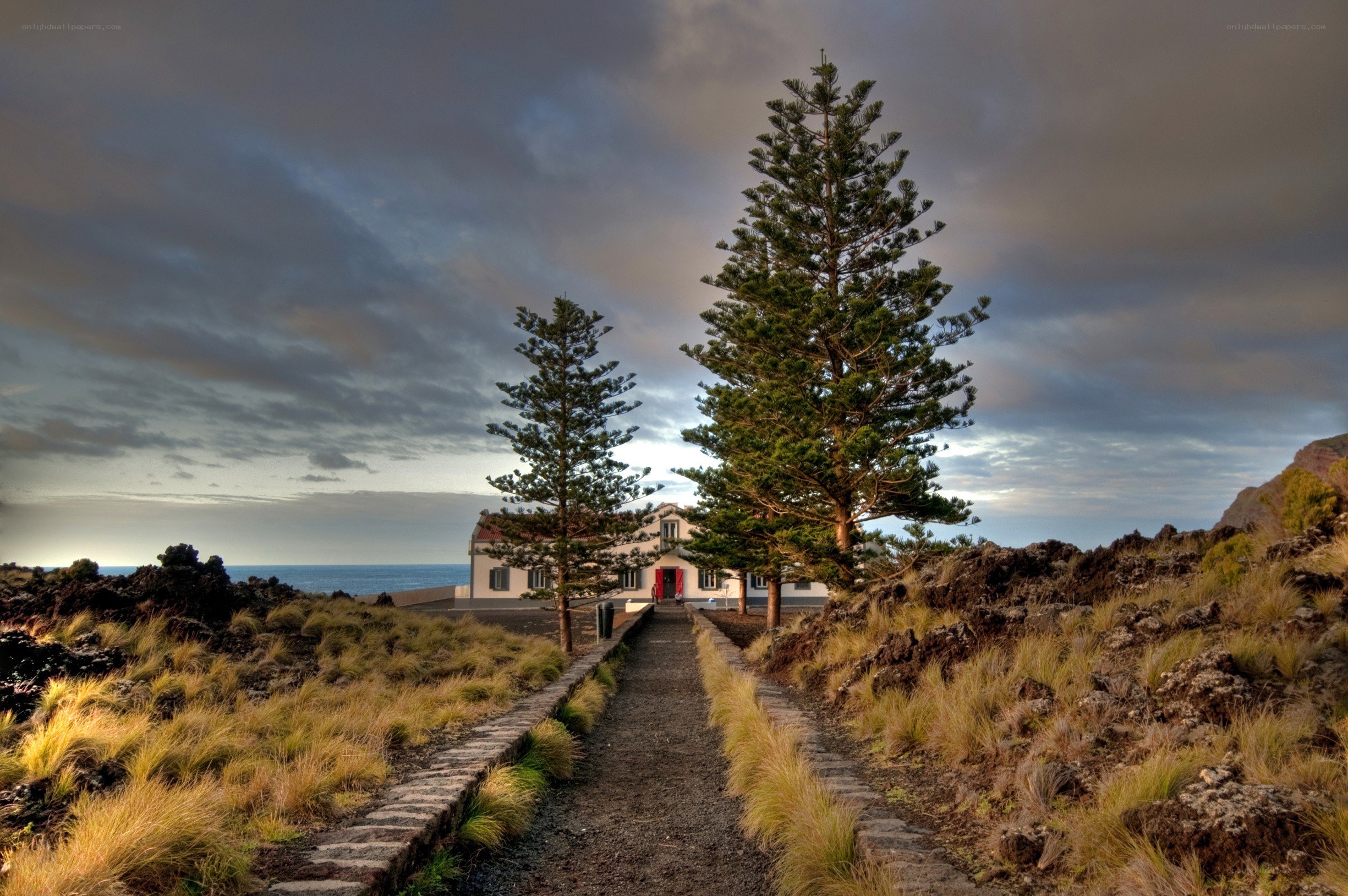 Path to coastal house with pine trees