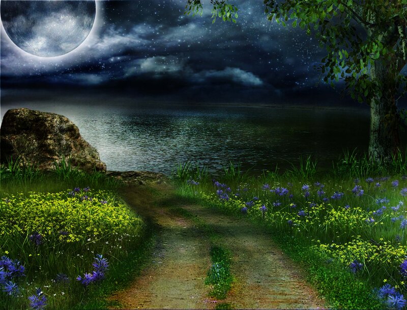 Path to Lake at Night