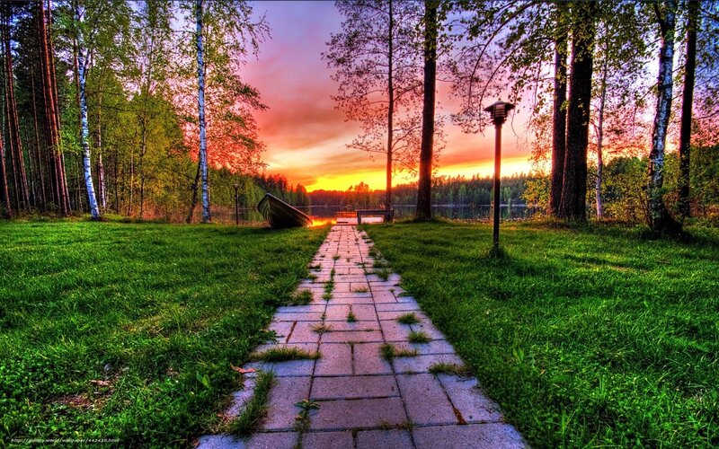 Path to Lake at Sunset — Green, Serene, Photograph