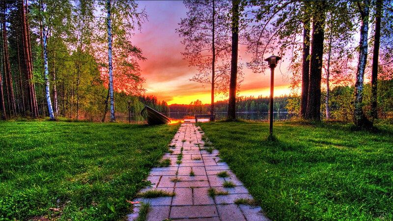 Path to Lake at Sunset — Green, Serene