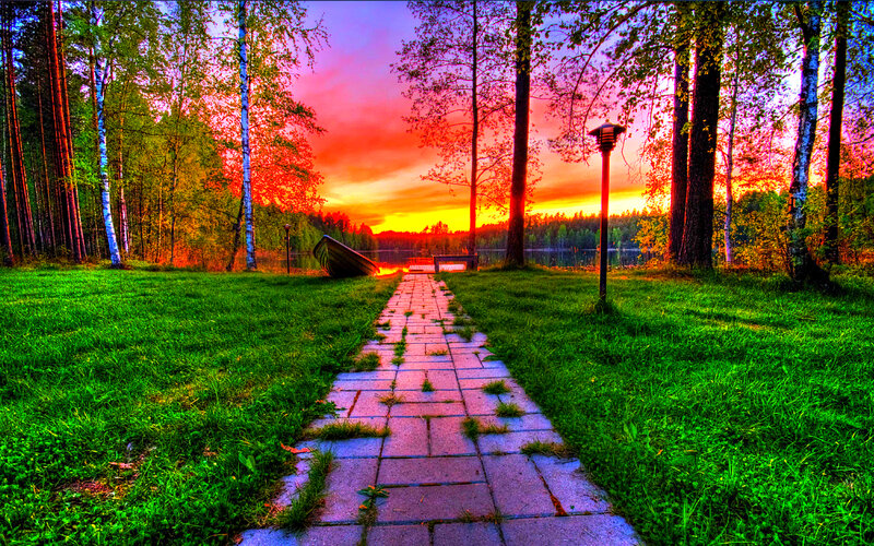 Path to Lake at Sunset — Green