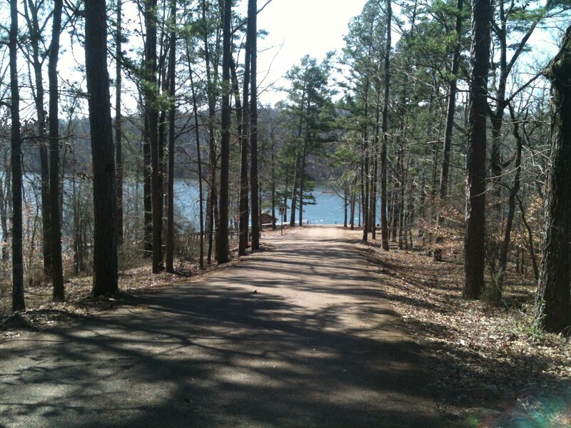 Path to Lake Through Forest