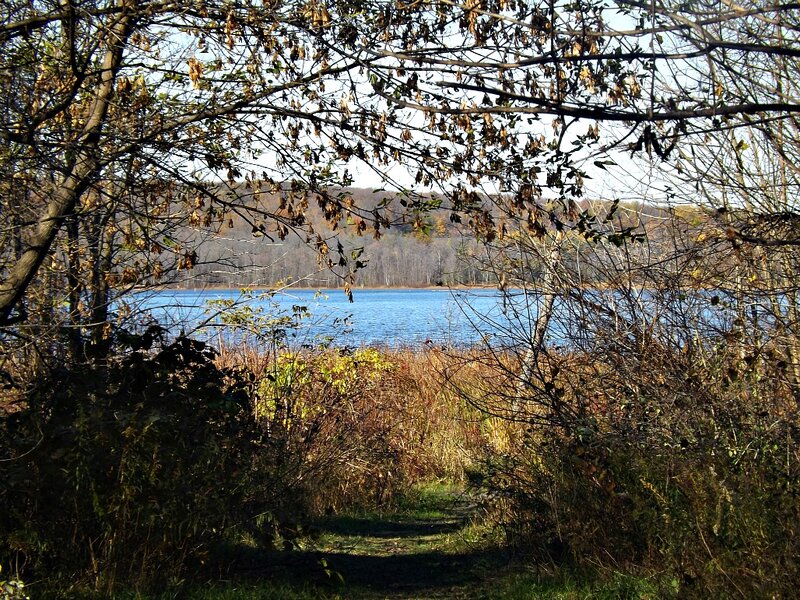 Path to Lake Through Trees