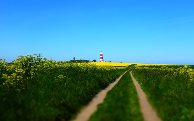 Path to lighthouse through fields