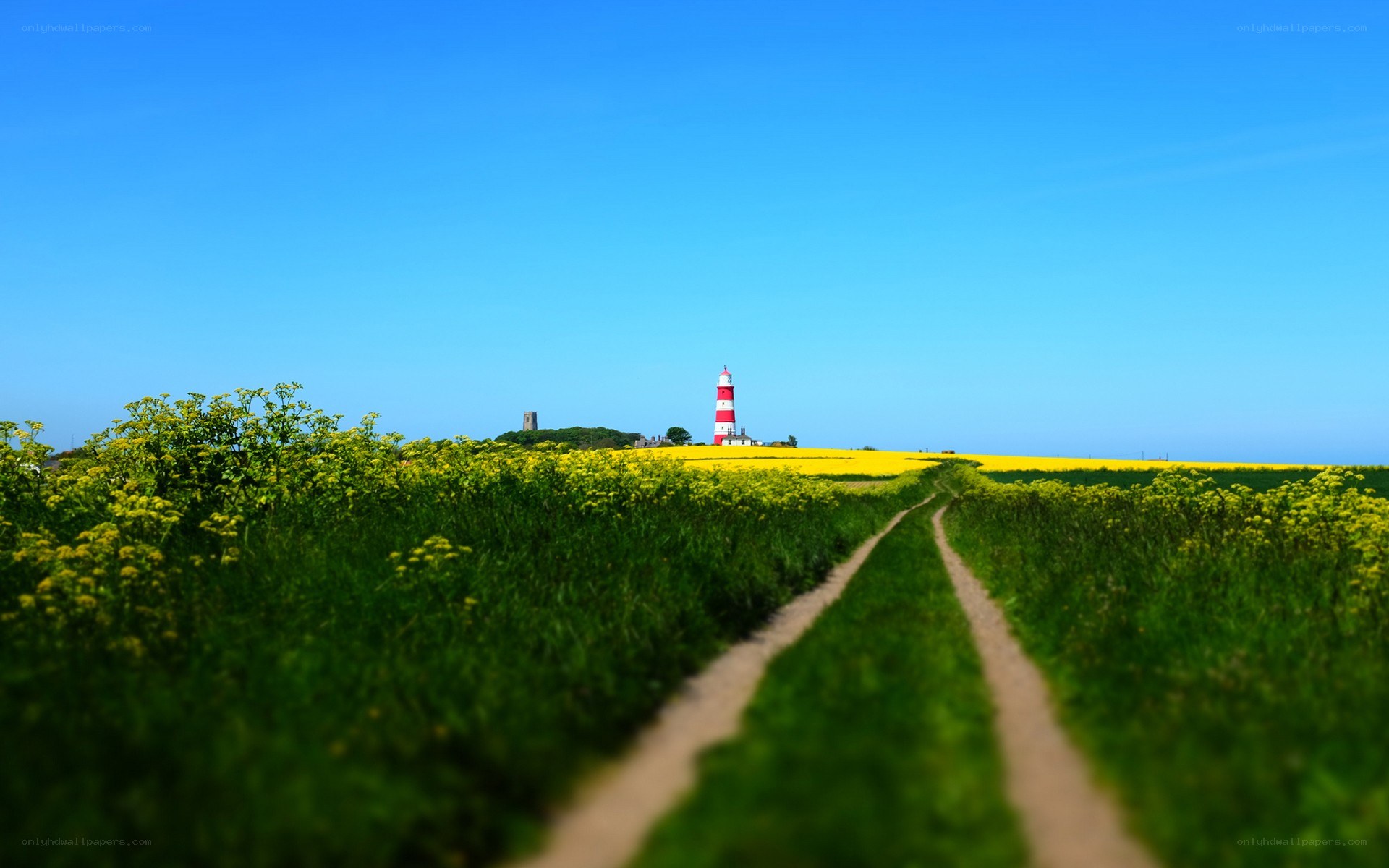 Path to lighthouse through fields