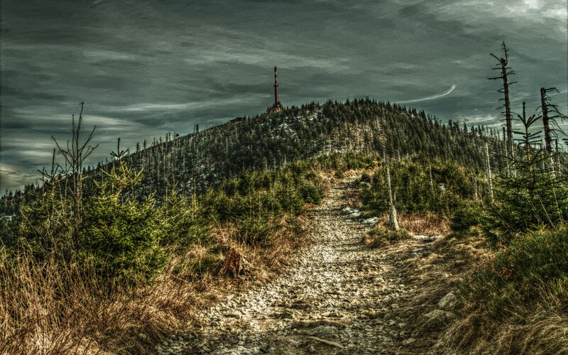 Path to Mountain Summit