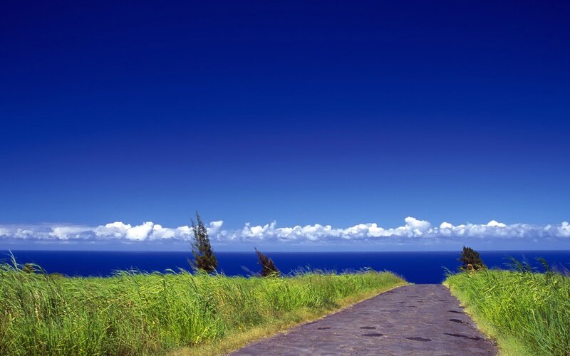 Path to Ocean View — Blue, Serene, Afternoon