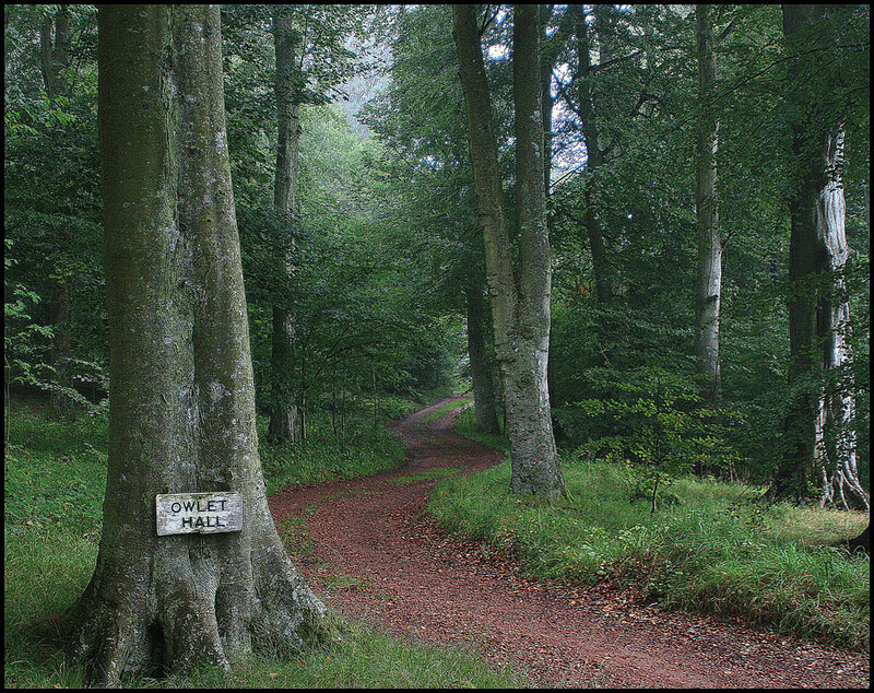 Path to Owlet Hall in the woods