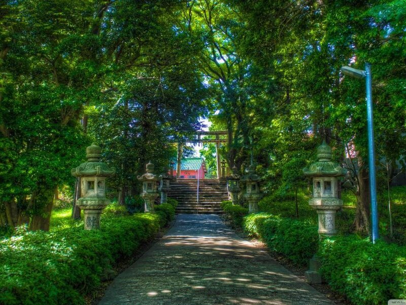 Path to Shrine Through Trees — Green