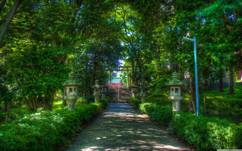 Path to Shrine Through Trees