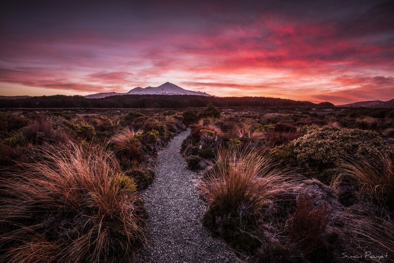 Path to Snow-capped Mountain